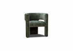 Load image into Gallery viewer, Coco Feature Chair - Green

